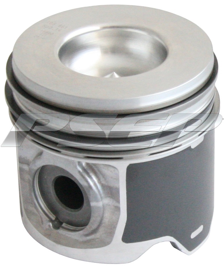 PISTON ASSY