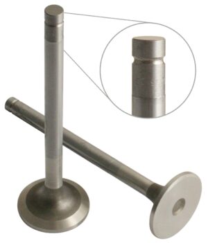 INLET/EXHAUST VALVE