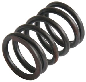 VALVE SPRING