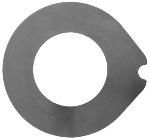 INTERMEDIATE DISC