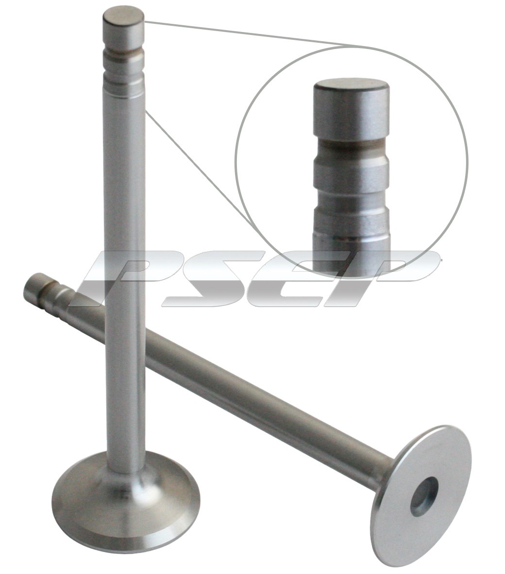 EXHAUST VALVE +015