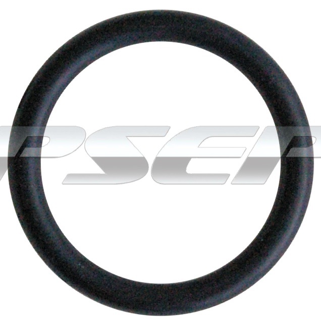 FLANGE COUPLING O RING x10