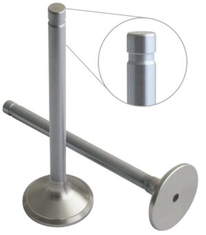 EXHAUST VALVE GENESIS