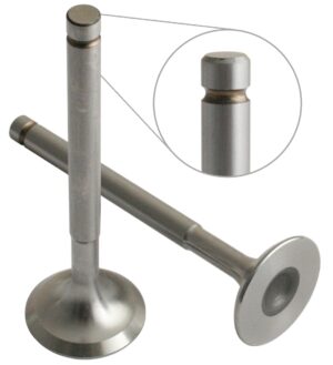INLET/EXHAUST VALVE