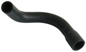 BOTTOM HOSE