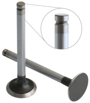EXHAUST VALVE