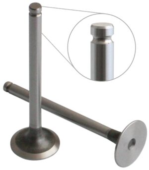 EXHAUST VALVE