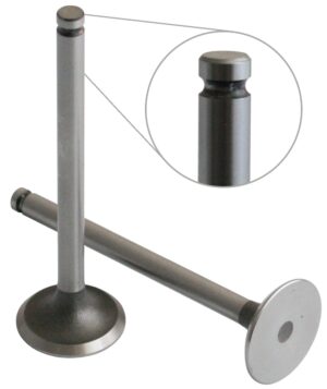 EXHAUST VALVE