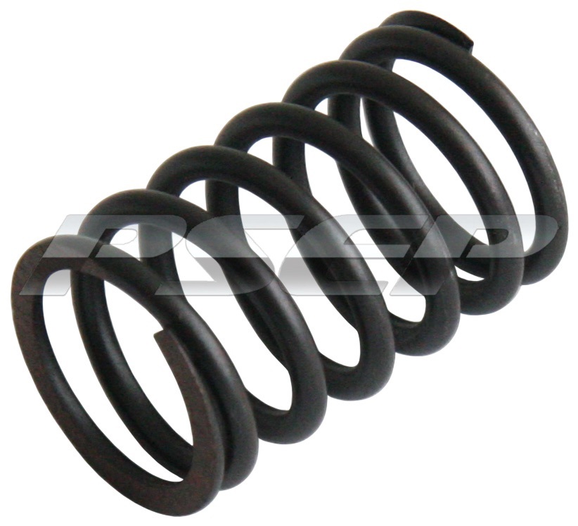 INNER VALVE SPRING