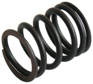 OUTER VALVE SPRING