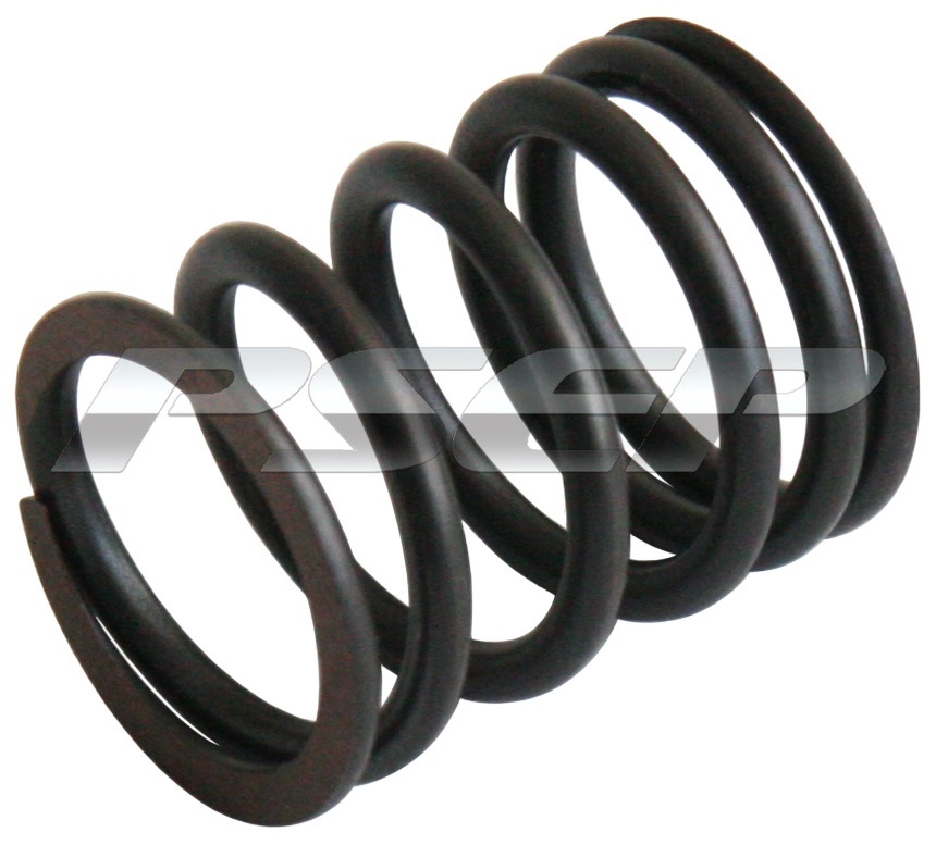 OUTER VALVE SPRING