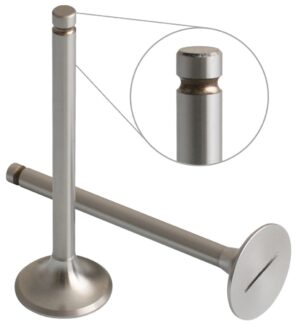 INLET & EXHAUST VALVE PAIR