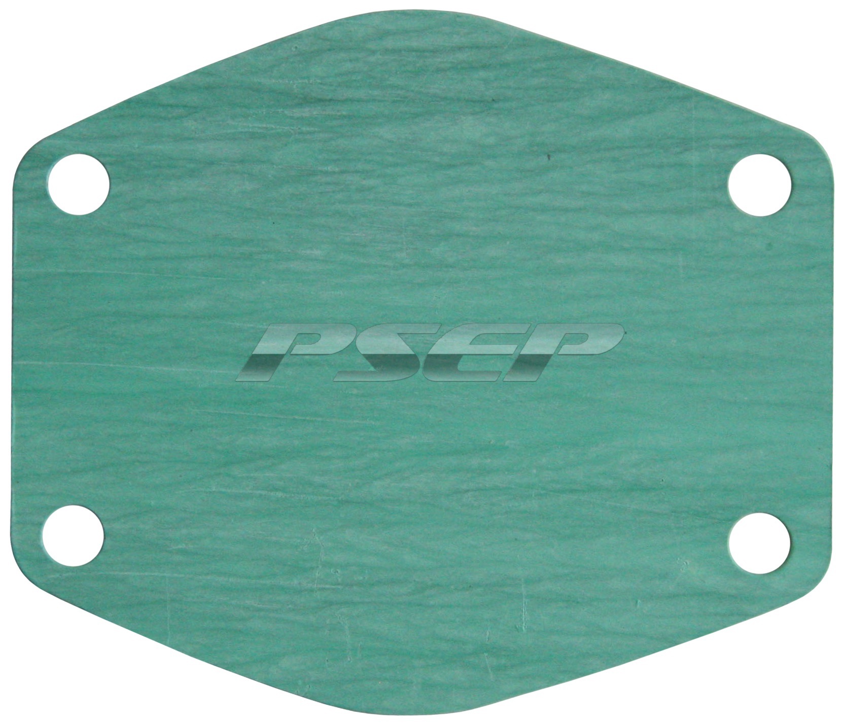 WATER PUMP GASKET BACK PLATE