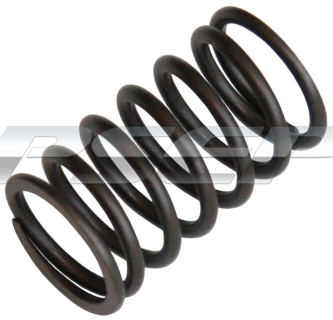 INNER VALVE SPRING