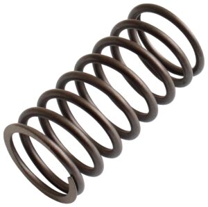 INNER VALVE SPRING