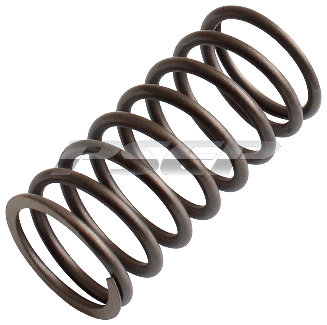 INNER VALVE SPRING