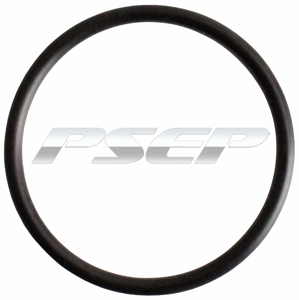 KING PIN O RING