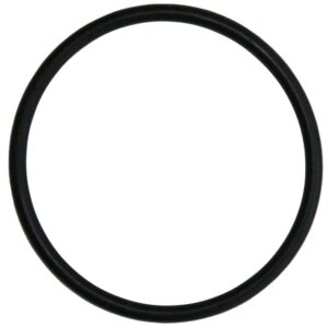 THERMOSTAT O RING