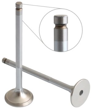 EXHAUST VALVE