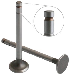 EXHAUST VALVE