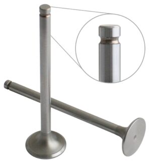 EXHAUST VALVE