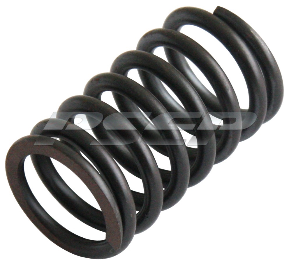OUTER VALVE SPRING