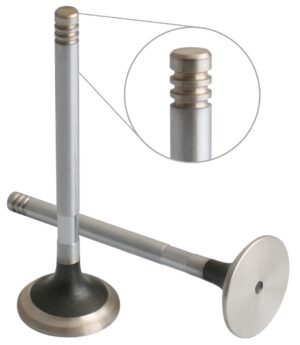EXHAUST VALVE