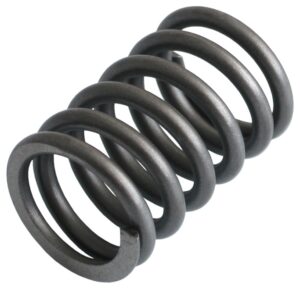 VALVE SPRING