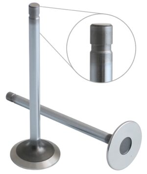 EXHAUST VALVE