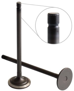 EXHAUST VALVE