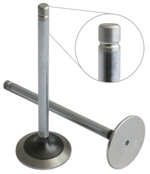 EXHAUST VALVE