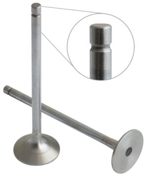 EXHAUST VALVE